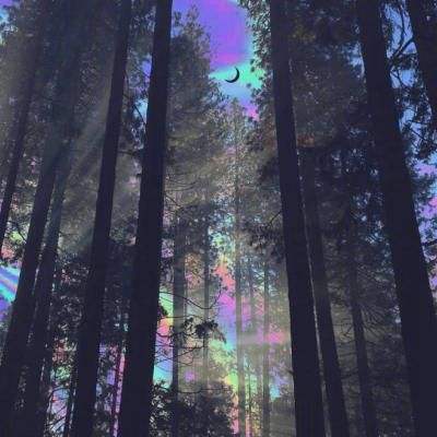 开全站登录app下载手机版