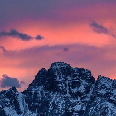 乐鱼app官网正式版下载