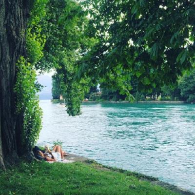 乐鱼APP下载手机版