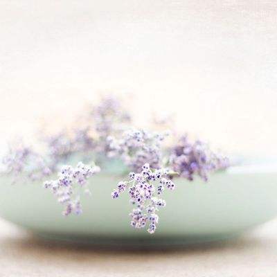 BOB彩票·(中国)平台APP下载