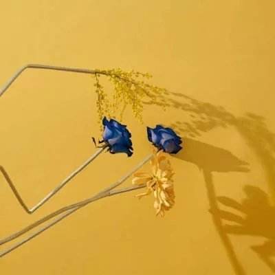 AG百家家乐appapp下载